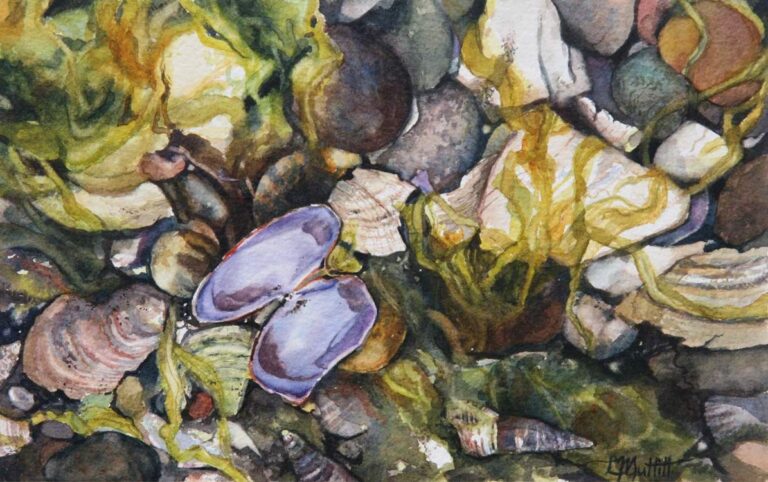 A Natural Collection