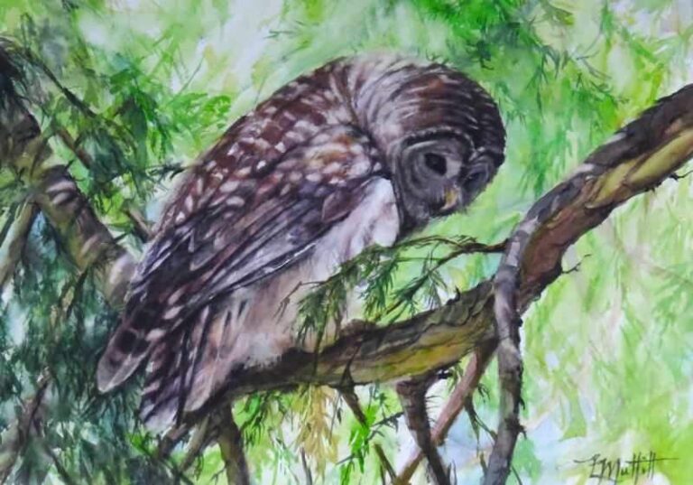 The Wisdom of the Forest