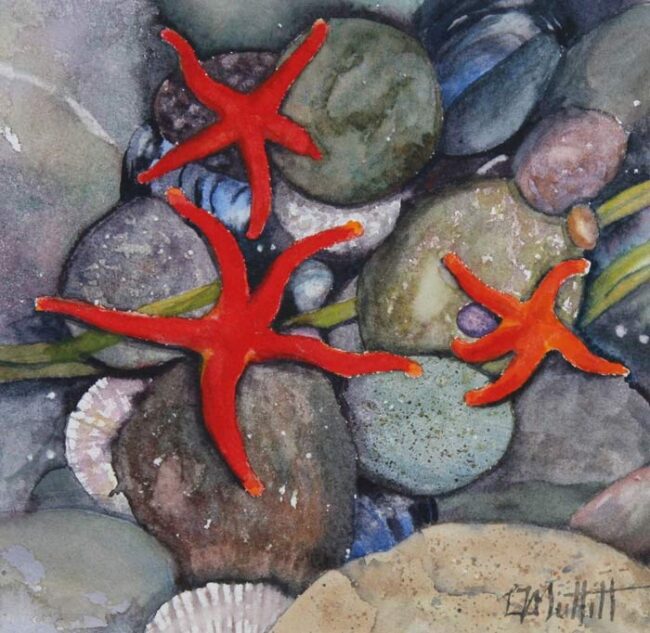 Linda Muttitt blog, Happy Dance