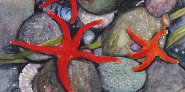 Welcome-Happy-Dance Linda Muttitt blog, Happy Dance