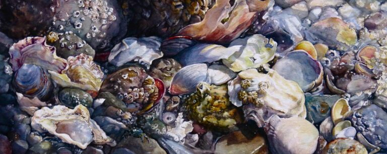 Wonders Never Cease by Linda Muttitt