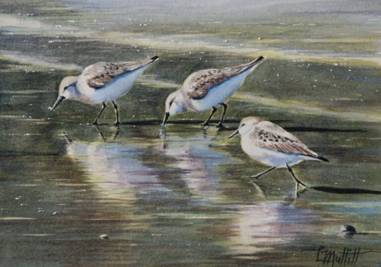 Savouring the Tasty Bits