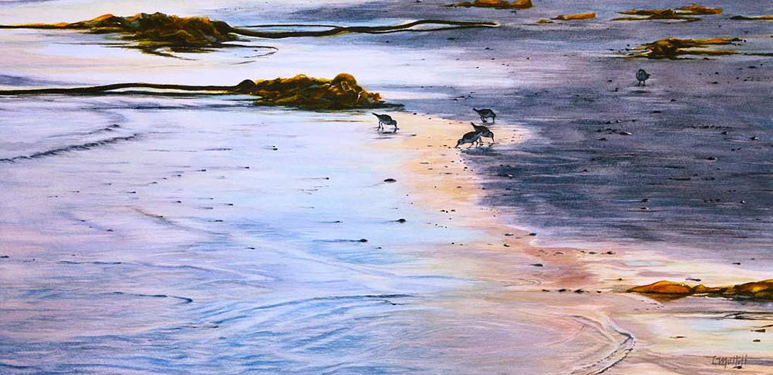 Protected Shoreline by Linda Muttitt