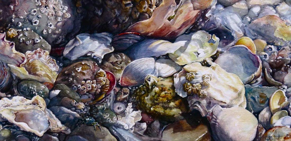 Wonders Never Cease by Linda Muttitt